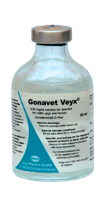 Gonavet
