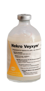 Nekro-Veyxym